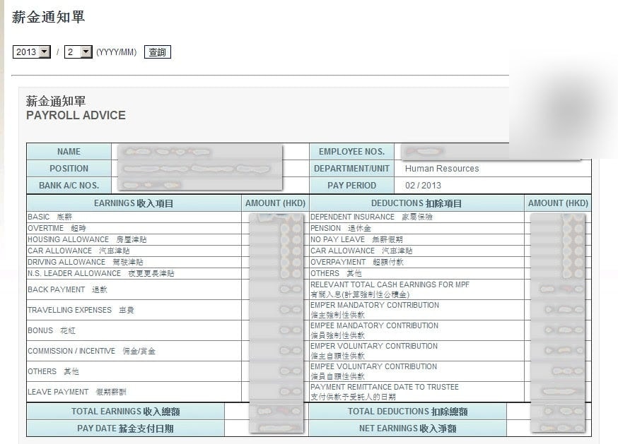 Electronic payroll advice by pay period.